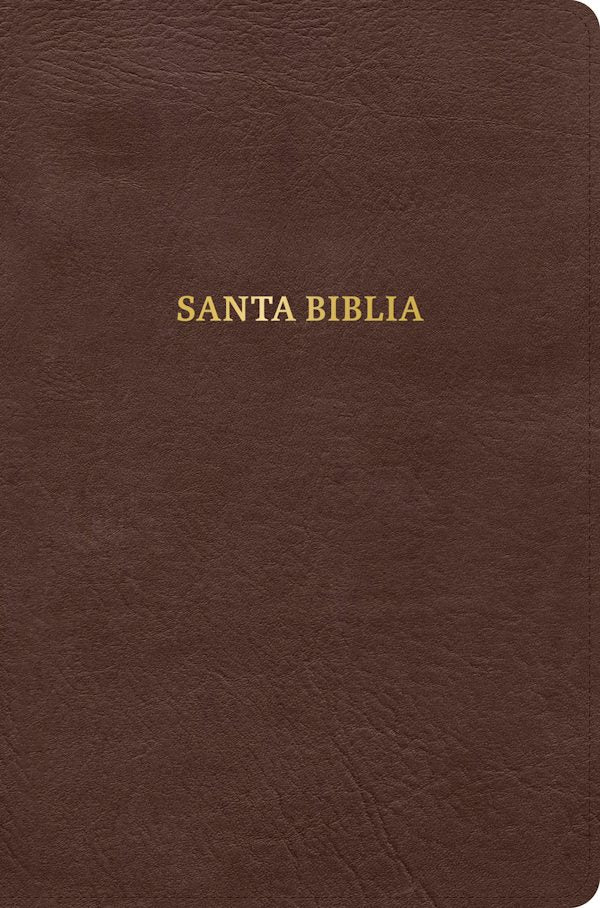 Cover image for Rvr 1960 Biblia Gracia, Caf�, S�mil Piel, isbn: 9798384558224