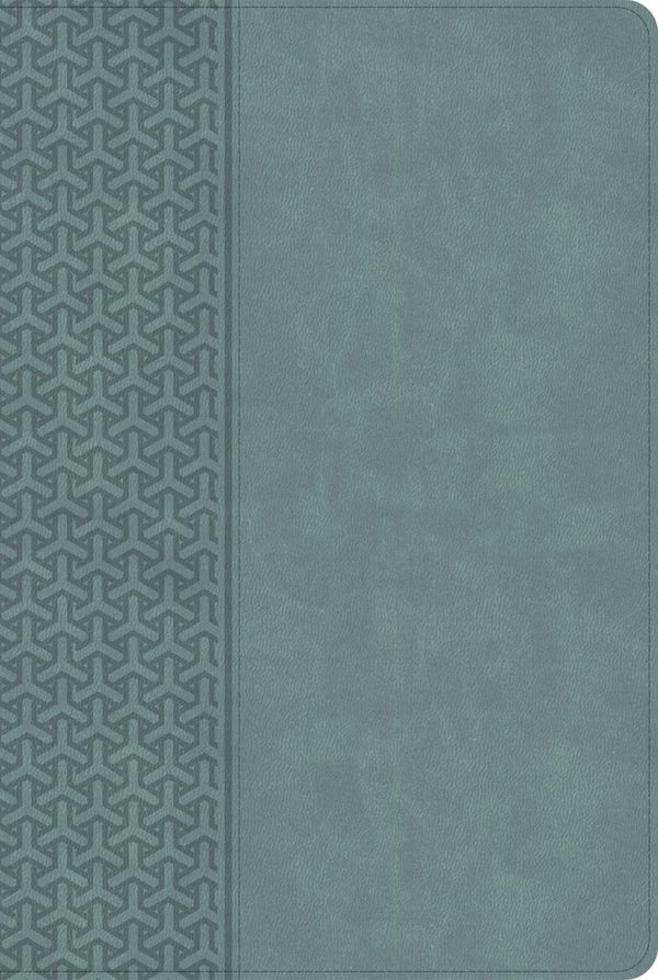 Cover image for CSB Everyday Study Bible, Earthen Teal Leathertouch, isbn: 9798384561743