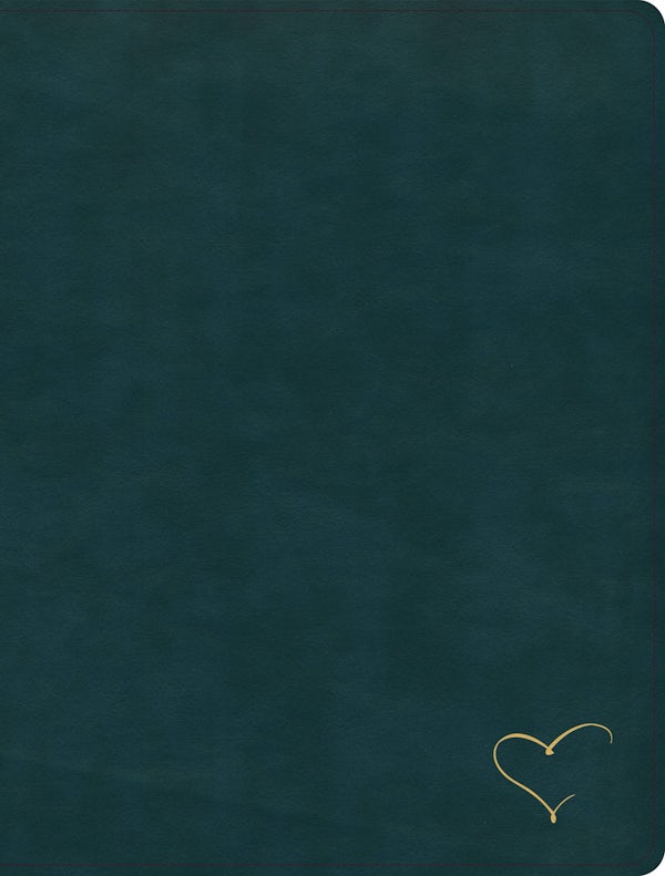 Cover image for CSB Notetaking Bible, Revive Our Hearts Edition, Peacock Leathertouch, isbn: 9798384561811