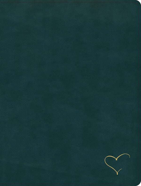 Cover image for CSB Notetaking Bible, Revive Our Hearts Edition, Peacock Leathertouch, isbn: 9798384561811