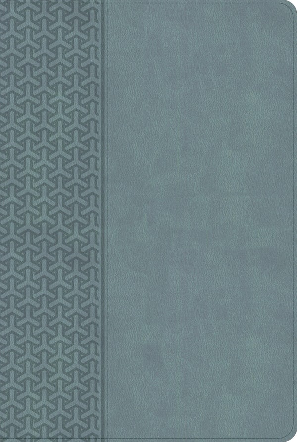 Cover image for KJV Everyday Study Bible, Earthen Teal Leathertouch, isbn: 9798384561897
