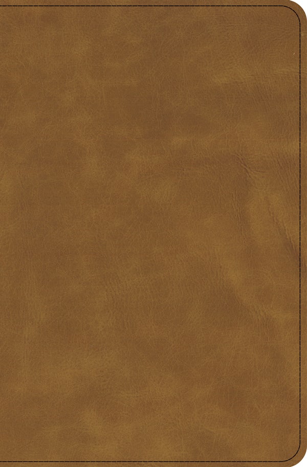Cover image for CSB Thinline Bible, Holman Handcrafted Collection, Easy-To-Read Optimal Type, Premium Marbled Chestnut Calfskin, Zipper Edition, isbn: 9798384561972