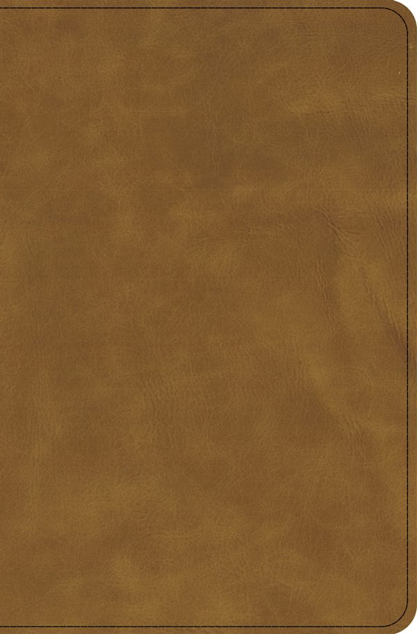 Cover image for CSB Thinline Bible, Holman Handcrafted Collection, Easy-To-Read Optimal Type, Premium Marbled Chestnut Calfskin, Zipper Edition, isbn: 9798384561972