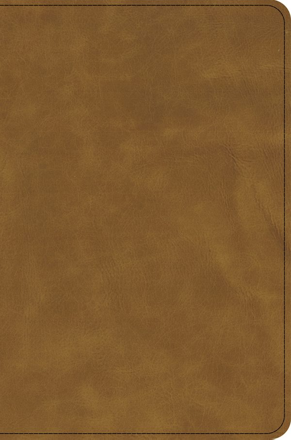 Cover image for KJV Thinline Bible, Holman Handcrafted Collection, Premium Marbled Chestnut Calfskin, Zipper Edition, isbn: 9798384562030