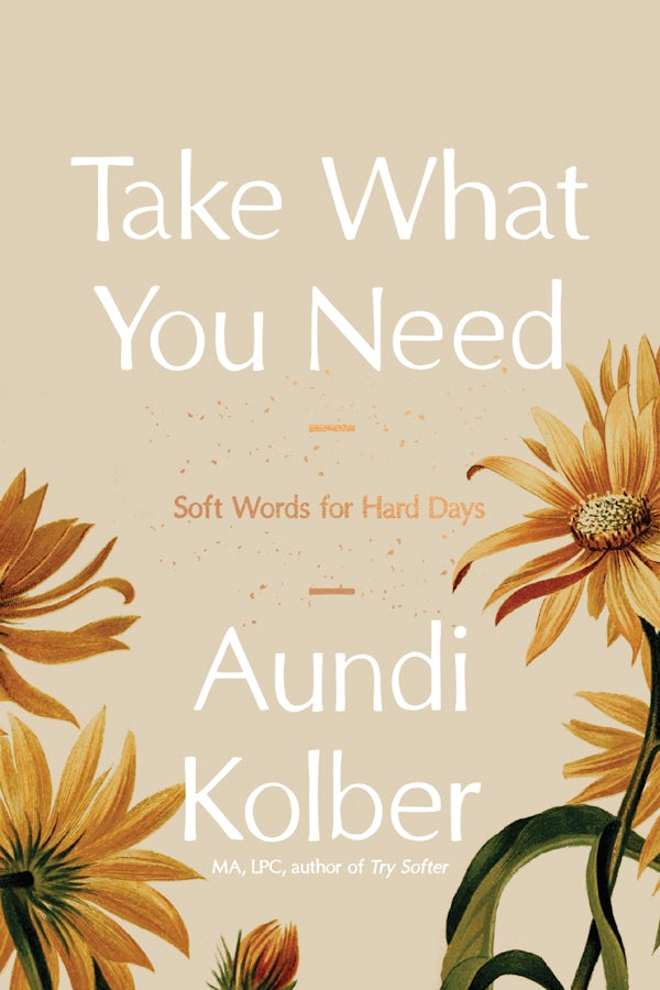 Cover image for Take What You Need, isbn: 9798400503474