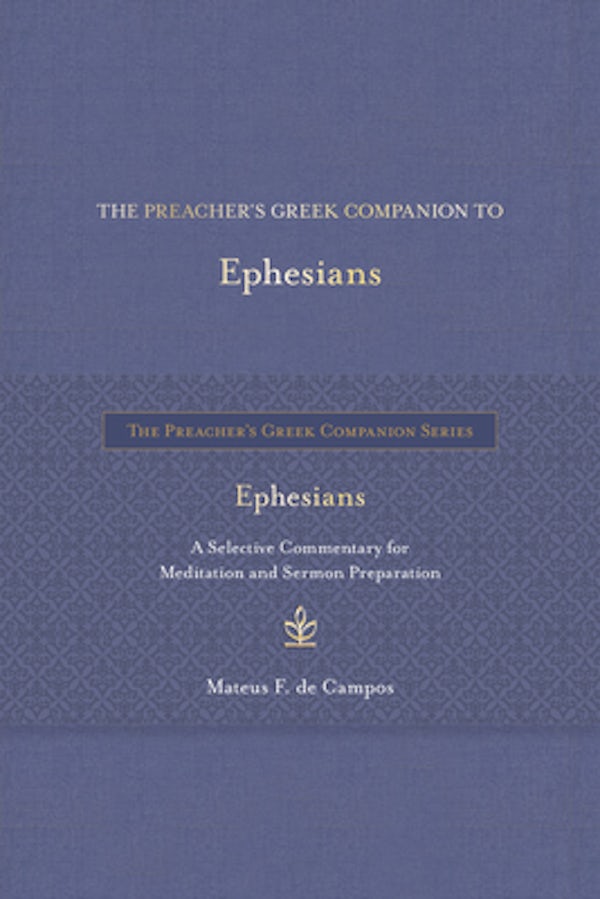 Cover image for The Preacher's Greek Companion to Ephesians, isbn: 9798400506031
