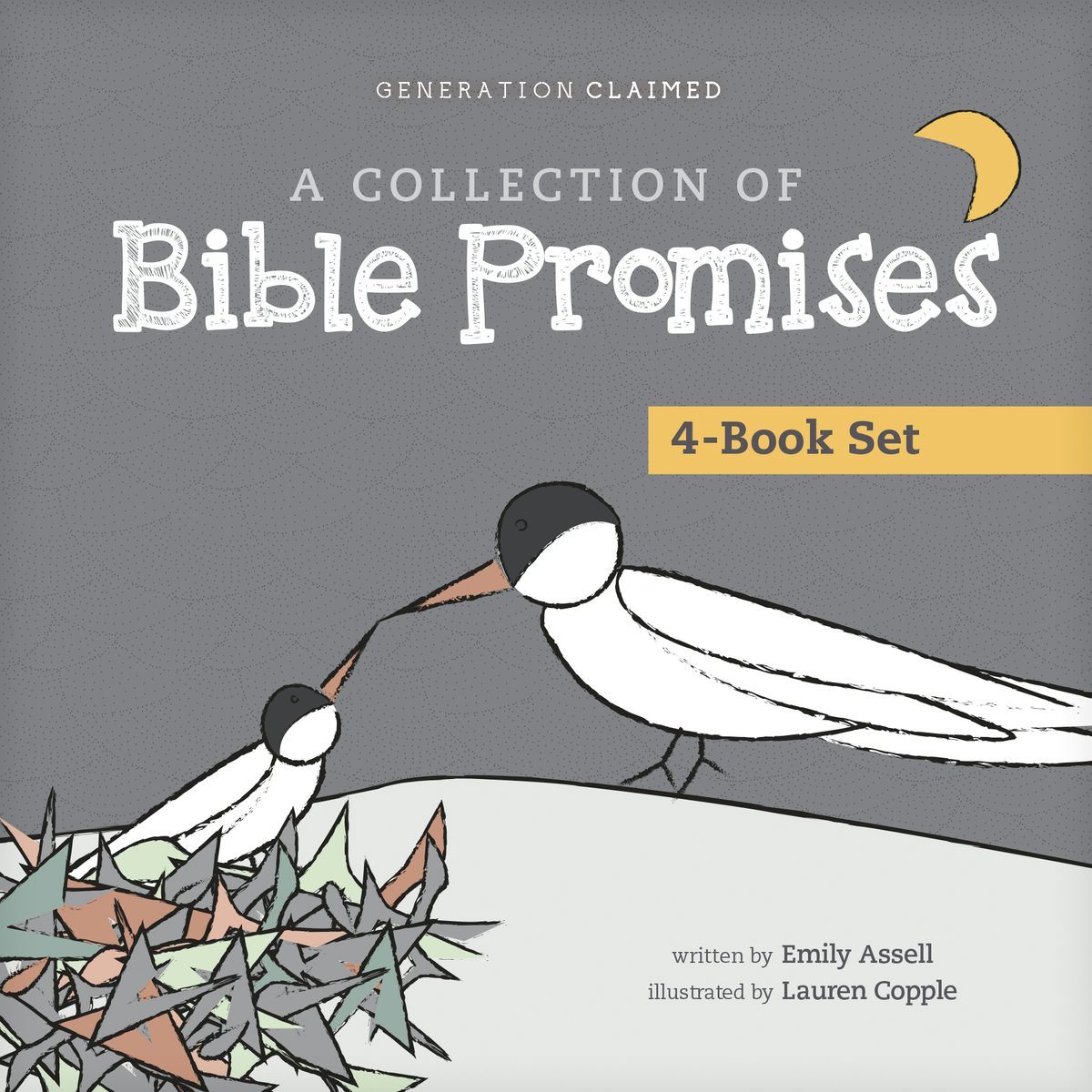 Cover image for A Collection of Bible Promises 4-Book Set: When It Hurts / You Are / Tonight / Chosen, isbn: 9798400508387