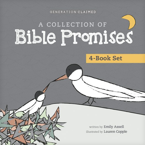 Cover image for A Collection of Bible Promises 4-Book Set: When It Hurts / You Are / Tonight / Chosen, isbn: 9798400508387