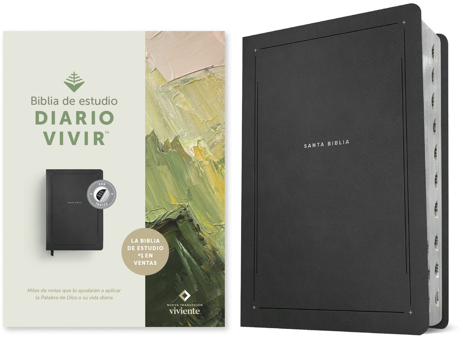 Cover image for Biblia de Estudio del Diario Vivir Ntv (Sentipiel, Negro, Índice, Letra Roja), isbn: 9798400510168