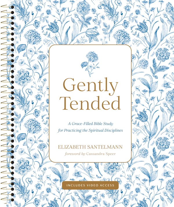 Cover image for Gently Tended with Streaming Video Access, isbn: 9798400518492