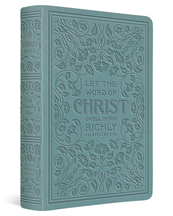 Cover image for ESV Illuminated(tm) Bible, Art Journaling Edition (Trutone, Paris Sky, Colossians 3:16 Design), isbn: 9798874900199