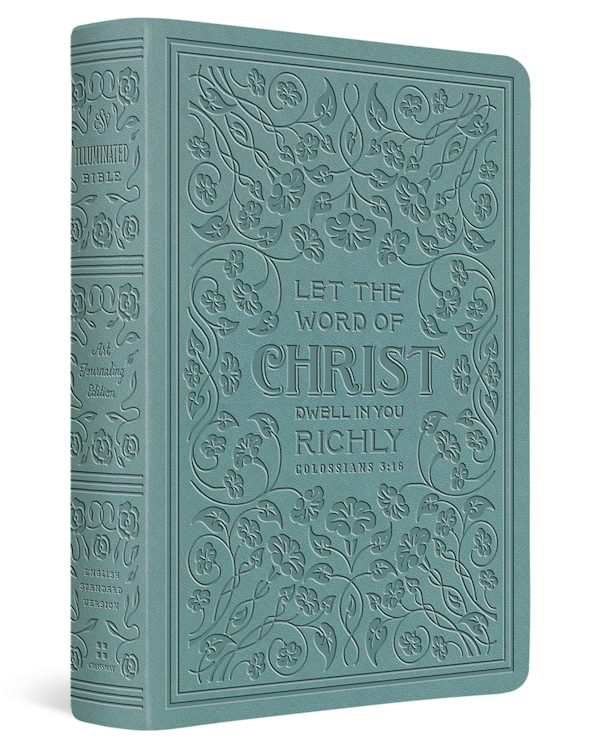 Cover image for ESV Illuminated(tm) Bible, Art Journaling Edition (Trutone, Paris Sky, Colossians 3:16 Design), isbn: 9798874900199