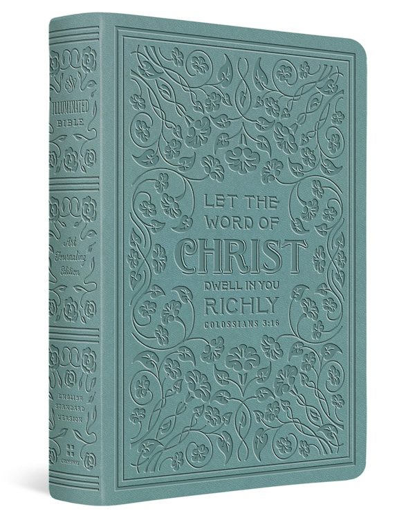 Cover image for ESV Illuminated(tm) Bible, Art Journaling Edition (Trutone, Paris Sky, Colossians 3:16 Design), isbn: 9798874900199