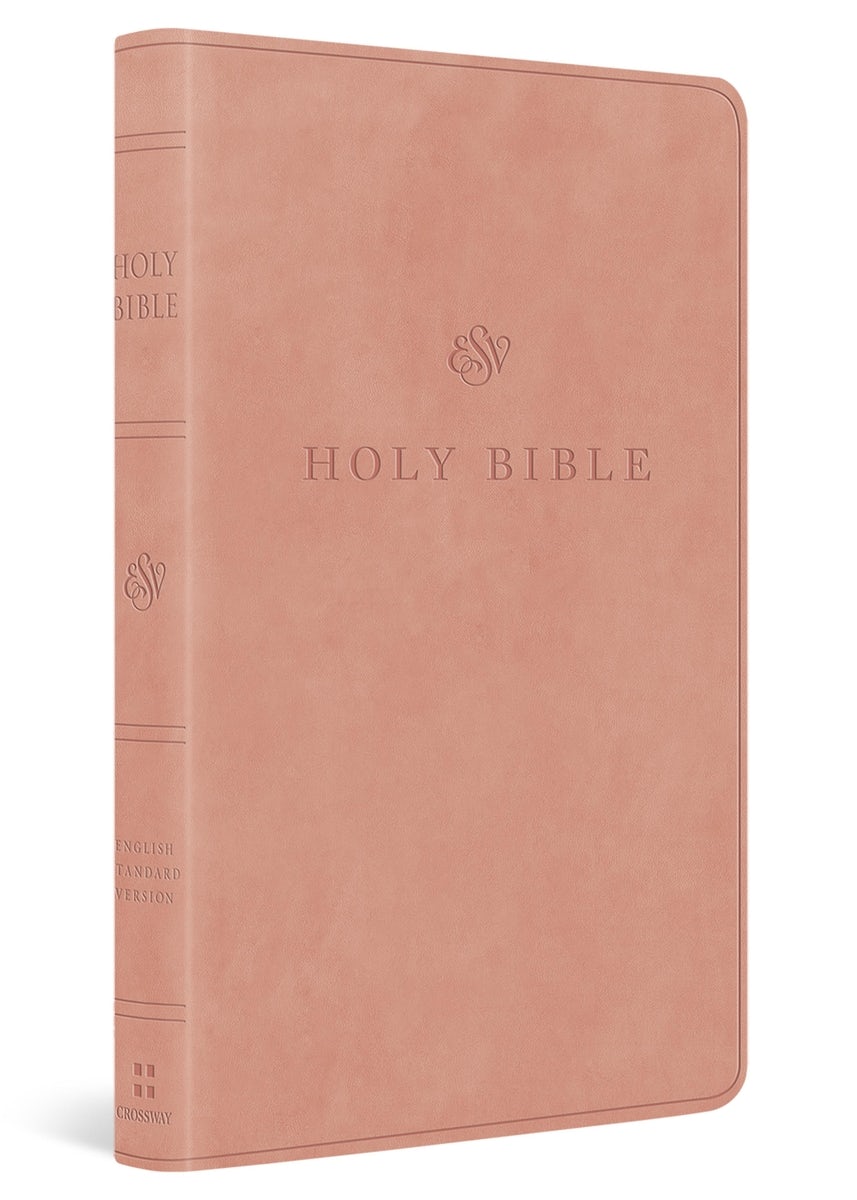 Cover image for ESV Premium Gift Bible (Trutone, Blush Rose), isbn: 9798874900236