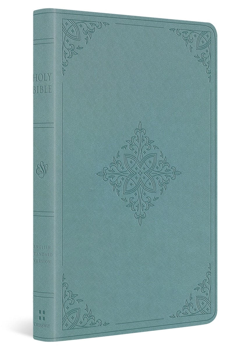 Cover image for ESV Premium Gift Bible (Trutone, Paris Sky, Fleur-De-Lis Design), isbn: 9798874900243