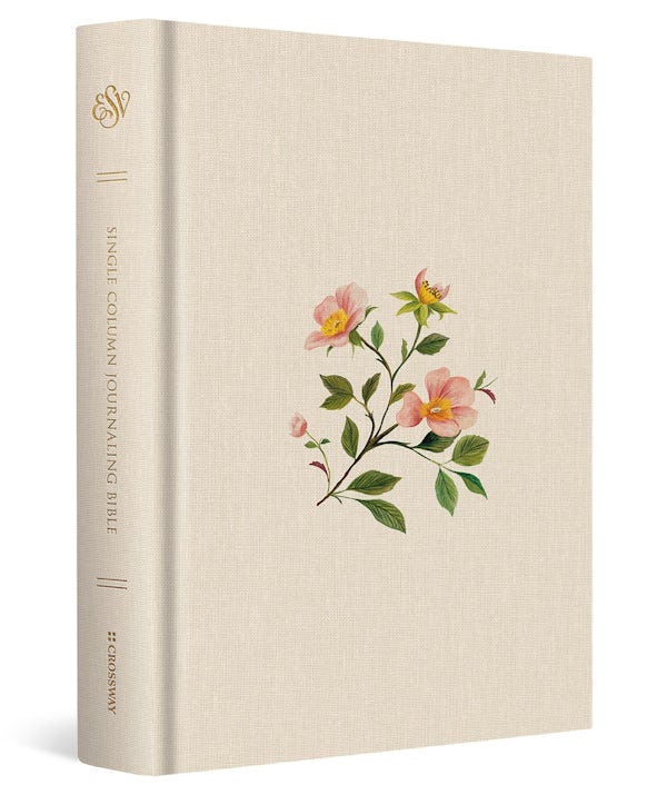 Cover image for ESV Single Column Journaling Bible (Cloth Over Board, Rosehip Design), isbn: 9798874900267