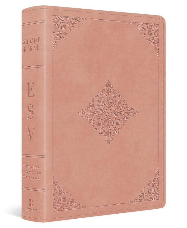 Cover image for ESV Study Bible, Personal Size (Trutone, Blush Rose, Fleur-De-Lis Design), isbn: 9798874900274