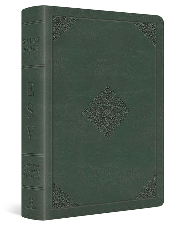 Cover image for ESV Study Bible, Personal Size (Trutone, Quiet Forest, Ornament Design), isbn: 9798874900281