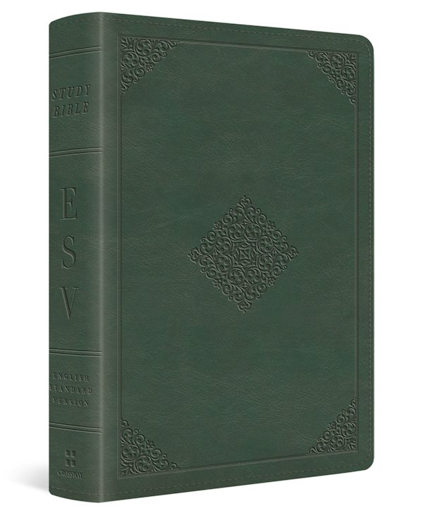 Cover image for ESV Study Bible, Personal Size (Trutone, Quiet Forest, Ornament Design), isbn: 9798874900281