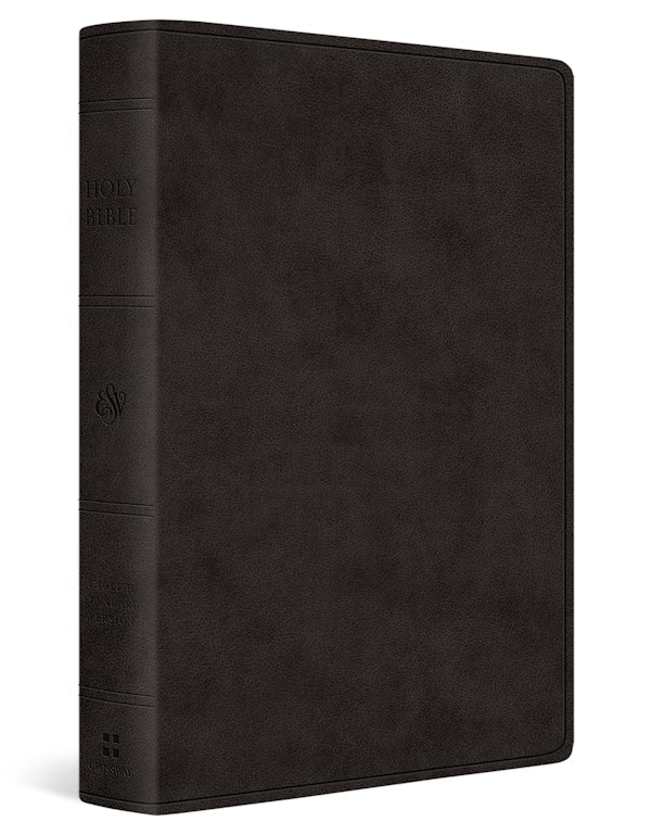 Cover image for ESV Giant Print Value Personal Size Bible (Trutone, Black), isbn: 9798874900328