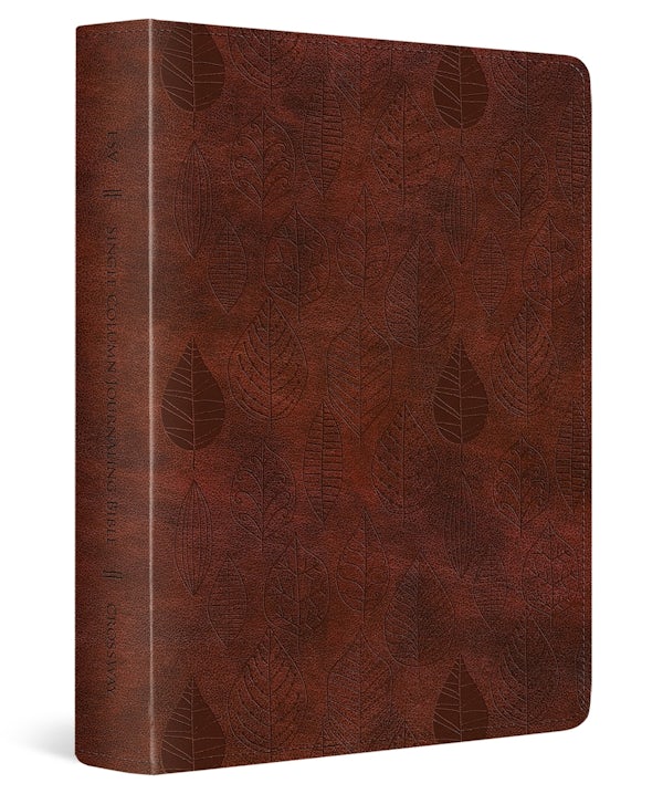 Cover image for ESV Single Column Journaling Bible (Trutone, Chestnut, Leaves Design), isbn: 9798874900335