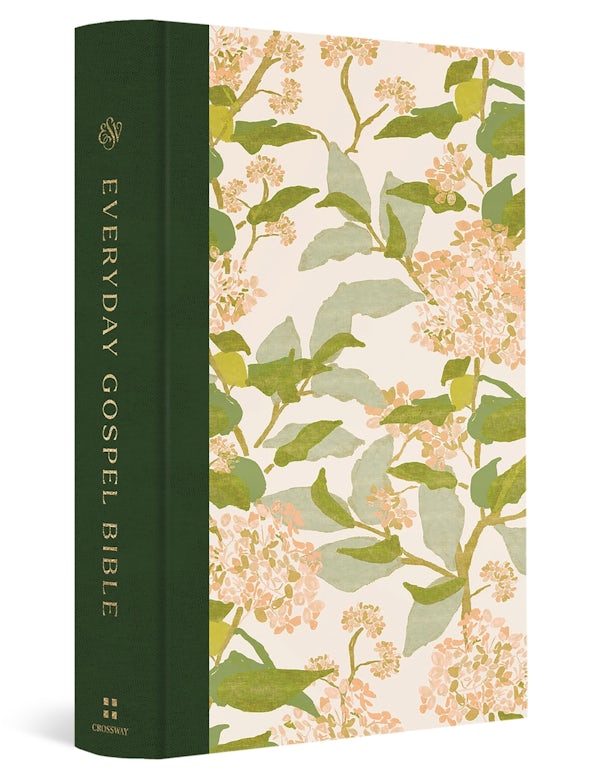 Cover image for ESV Everyday Gospel Bible, Artist Series, isbn: 9798874900410