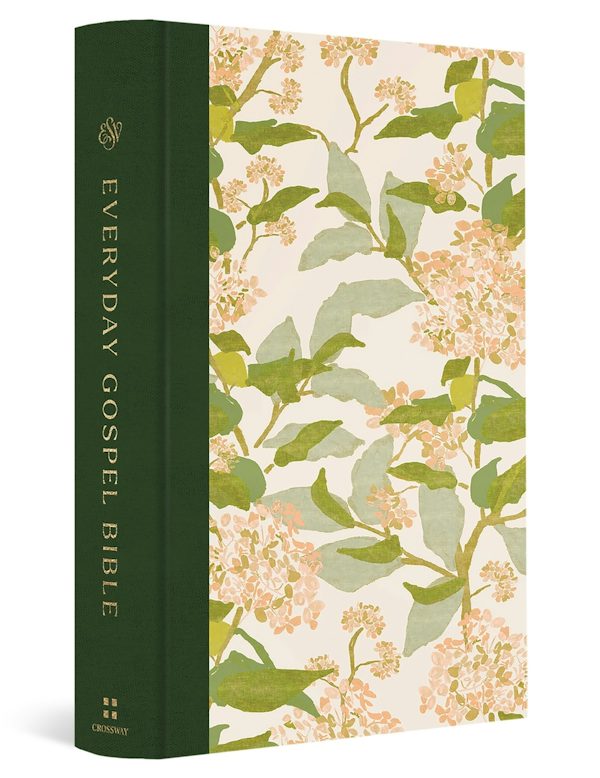 Cover image for ESV Everyday Gospel Bible, Artist Series, isbn: 9798874900410