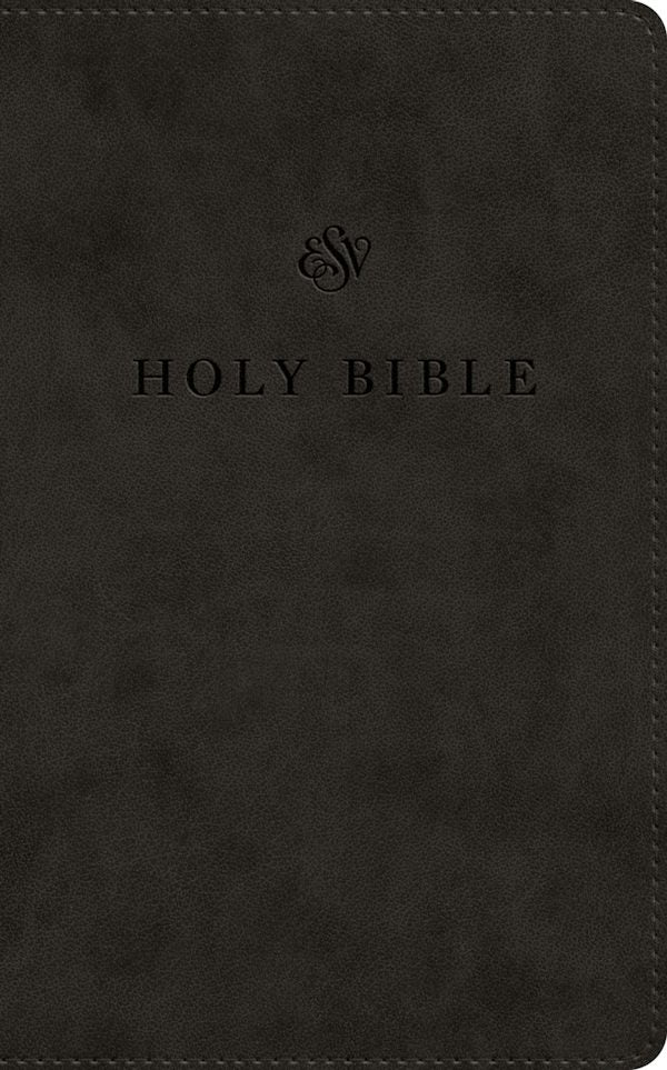 Cover image for ESV Premium Church Bible, Large Print (Trutone, Black), isbn: 9798874900434