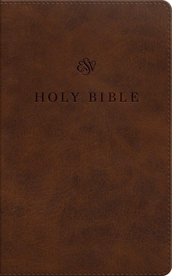 Cover image for ESV Premium Church Bible, Large Print (Trutone, Brown), isbn: 9798874900458
