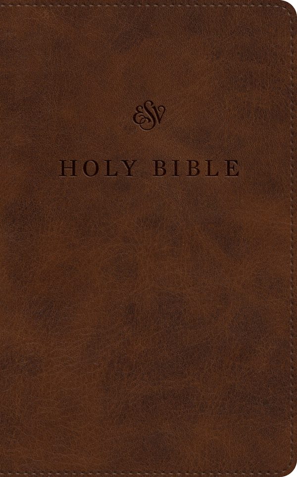 Cover image for ESV Premium Church Bible, Large Print (Trutone, Brown), isbn: 9798874900458