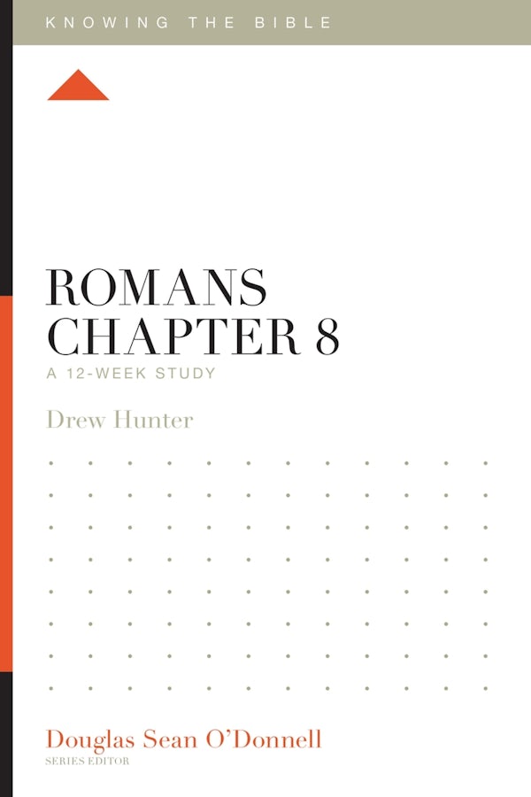 Cover image for Romans Chapter 8, isbn: 9798874901509