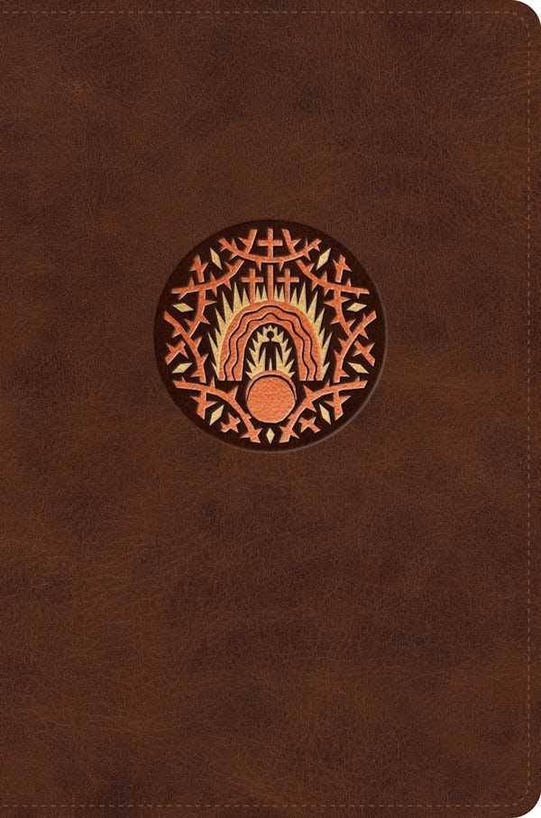 Cover image for ESV the Biggest Story Holy Bible for Kids (Trutone, Brown, Living Hope Design, Thumb Indexed), isbn: 9798874902483