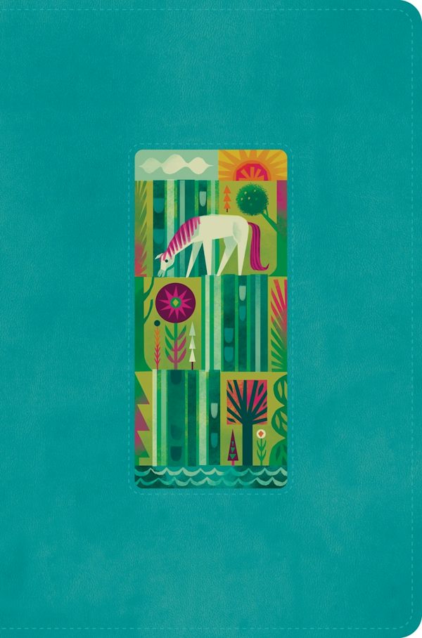 Cover image for ESV the Biggest Story Holy Bible for Kids (Trutone, Teal, Waterfall Design), isbn: 9798874902520