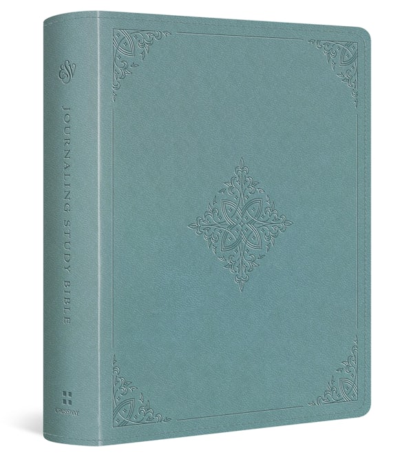 Cover image for ESV Journaling Study Bible (Trutone Over Board, Paris Sky, Fleur-De-Lis Design), isbn: 9798874902568