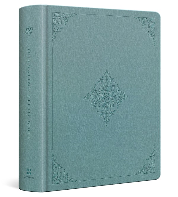 Cover image for ESV Journaling Study Bible (Trutone Over Board, Paris Sky, Fleur-De-Lis Design), isbn: 9798874902568