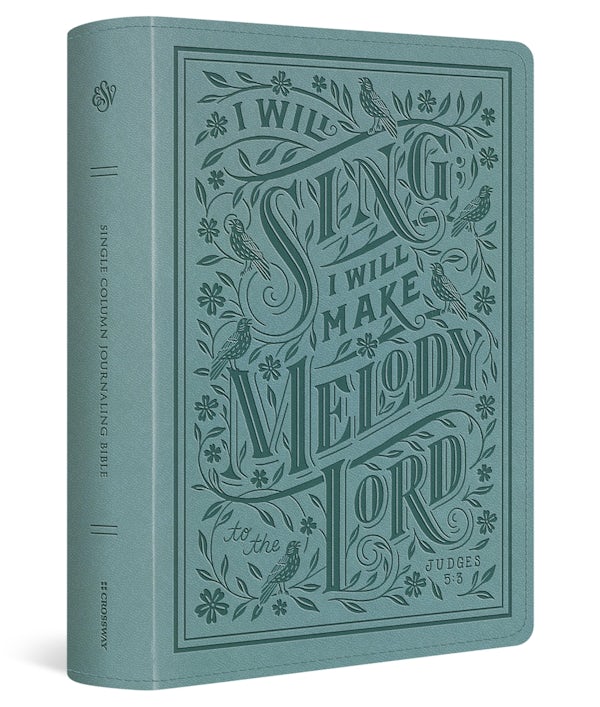 Cover image for ESV Single Column Journaling Bible, Large Print (Trutone, Paris Sky, Judges 5:3 Design), isbn: 9798874902582