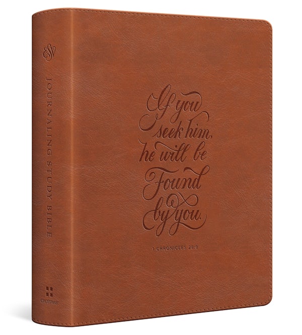 Cover image for ESV Journaling Study Bible (Trutone, English Saddle, 1 Chronicles 28:9 Design), isbn: 9798874902612