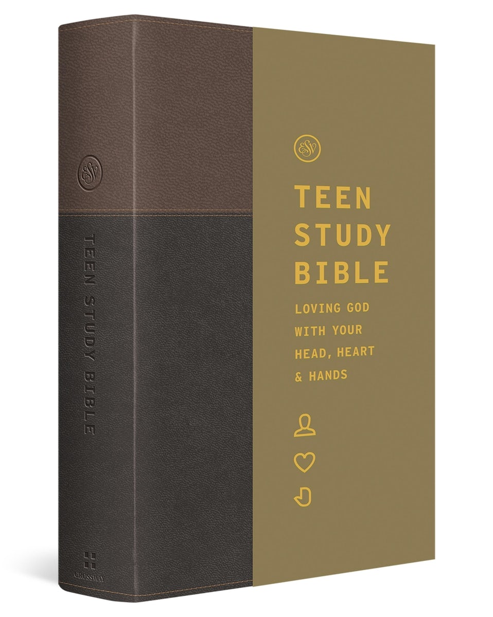 Cover image for ESV Teen Study Bible (Trutone, Slate/Umber), isbn: 9798874902629