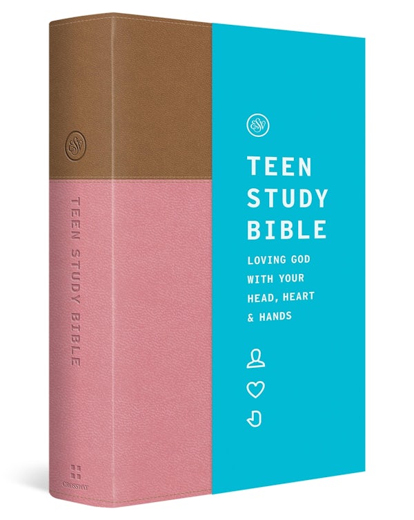 Cover image for ESV Teen Study Bible (Trutone, Blush/Caramel), isbn: 9798874902650