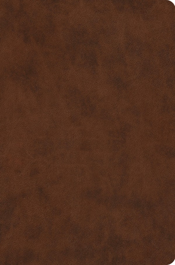 Cover image for ESV Value Compact Bible (Trutone, Brown), isbn: 9798874902780