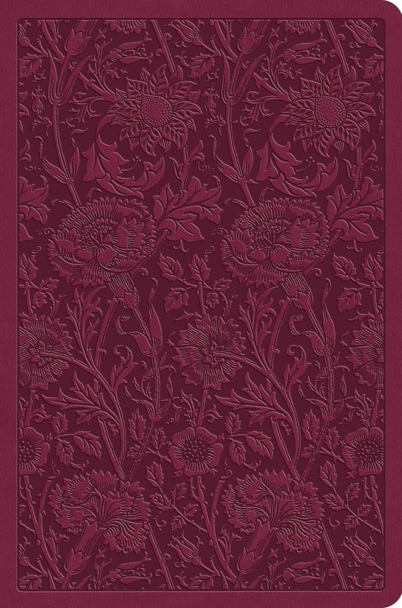 Cover image for ESV Value Compact Bible (Trutone, Raspberry, Floral Design), isbn: 9798874902803