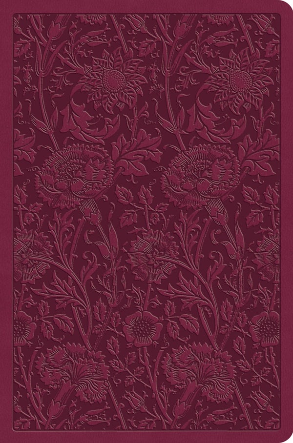 Cover image for ESV Value Compact Bible (Trutone, Raspberry, Floral Design), isbn: 9798874902803