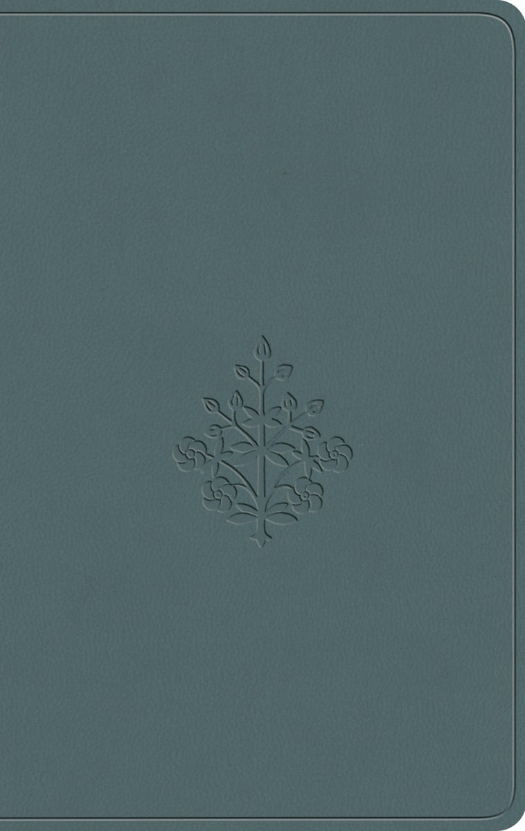 Cover image for ESV Value Compact Bible (Trutone, Paris Sky, Branch Design), isbn: 9798874902865