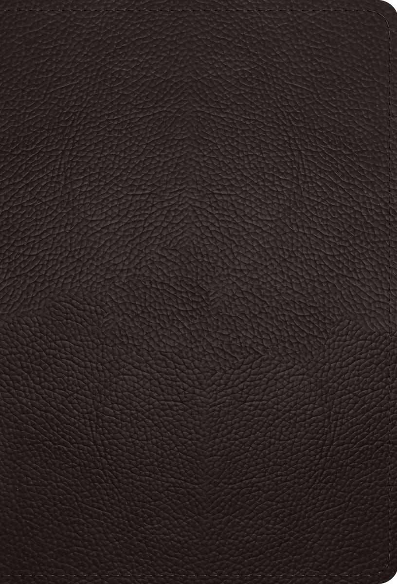 Cover image for ESV Large Print Compact Bible, Red Letter (Buffalo Leather, Deep Brown), isbn: 9798874902926