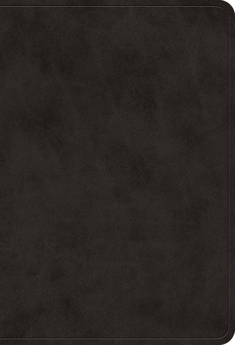 Cover image for ESV Value Large Print Compact Bible (Trutone, Black), isbn: 9798874903053
