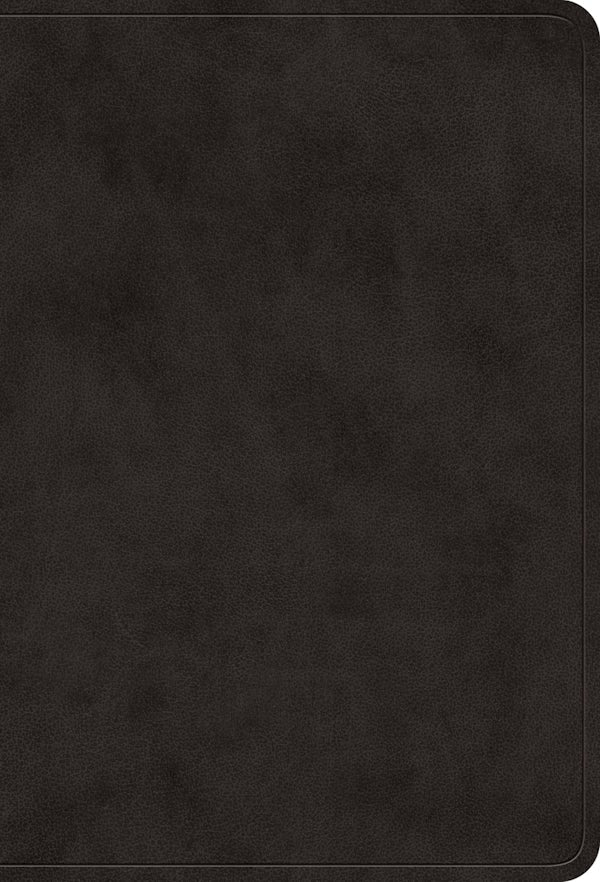 Cover image for ESV Value Large Print Compact Bible (Trutone, Black), isbn: 9798874903053