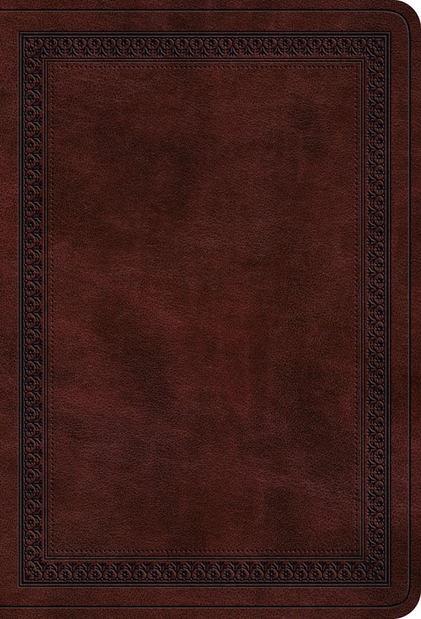 Cover image for ESV Large Print Value Compact Bible (Trutone, Mahogany, Border Design), isbn: 9798874903060