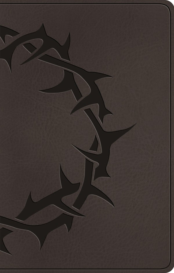 Cover image for ESV Premium Gift Bible (Trutone, Charcoal, Crown Design), isbn: 9798874903121