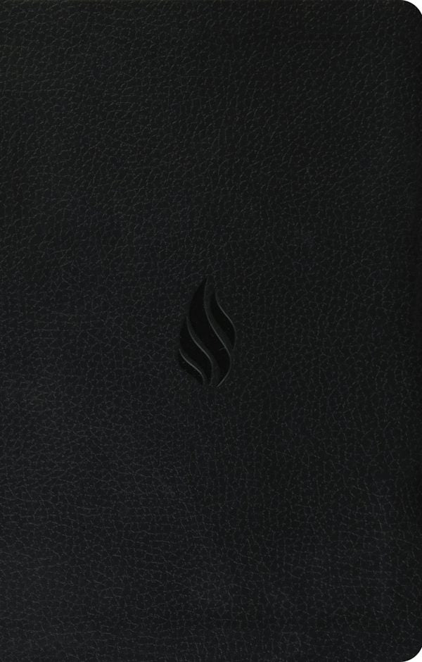 Cover image for ESV Premium Gift Bible (Trutone, Midnight, Flame Design), isbn: 9798874903138