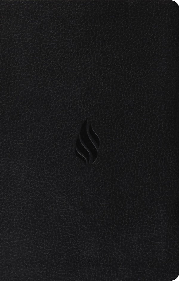 Cover image for ESV Premium Gift Bible, Red Letter (Trutone, Midnight, Flame Design), isbn: 9798874903220